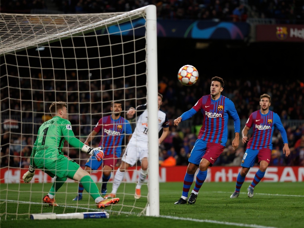 育训练技巧 育训练技巧